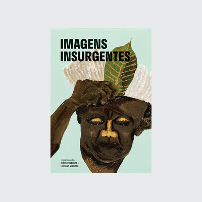 Imagens insurgentes (Ivair Reinaldim; Luciano Vinhosa. Editora Circuito) [ART009000]